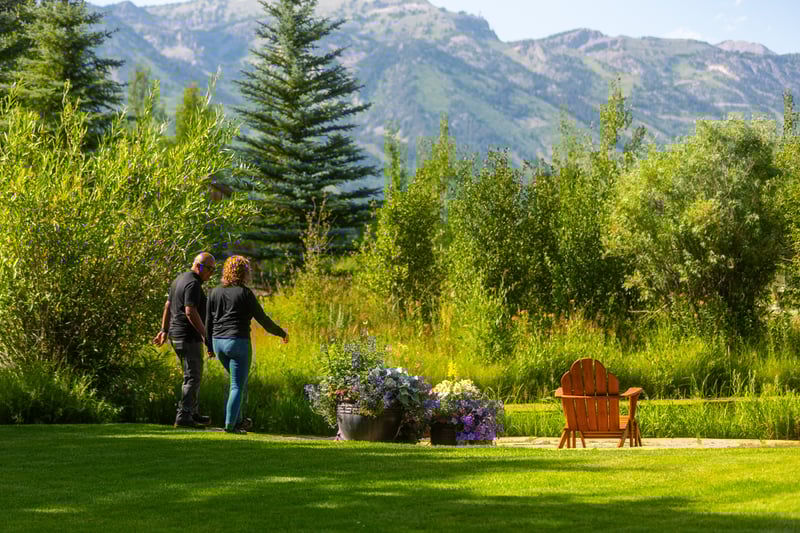 account manager lawn mountains horizon wild areas