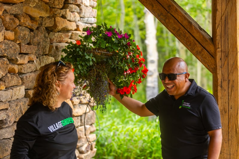 account manager maintenance crew floral flower design annual hanging basket