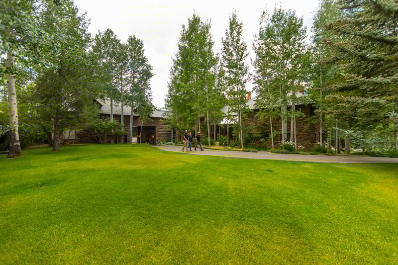 lawn space aspen trees paver walkway