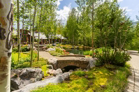 pond planting beds trees perennials mulch nice house 2