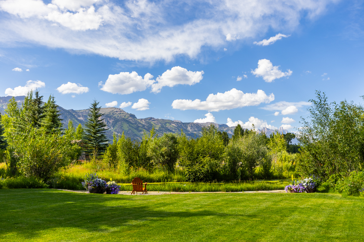 account manager lawn mountains horizon wild areas 3