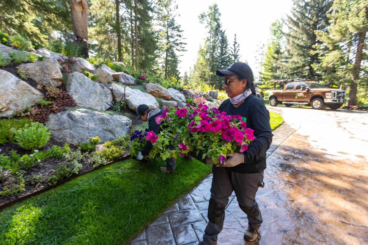 crew team flowers annuals installation large boulder wall