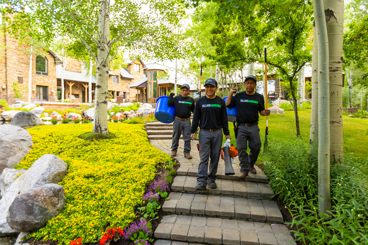 crew team maintenance paver walkway lawn 3