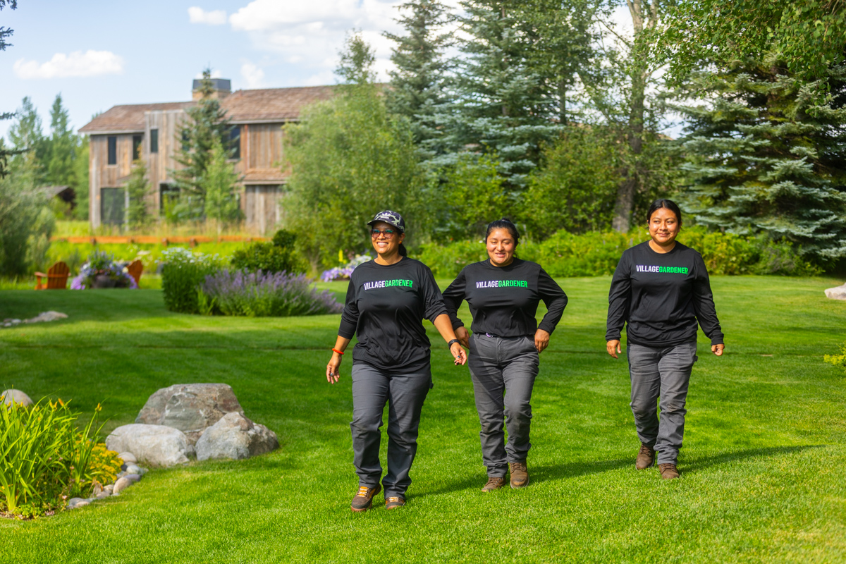 crew team nice lawn and trees 3