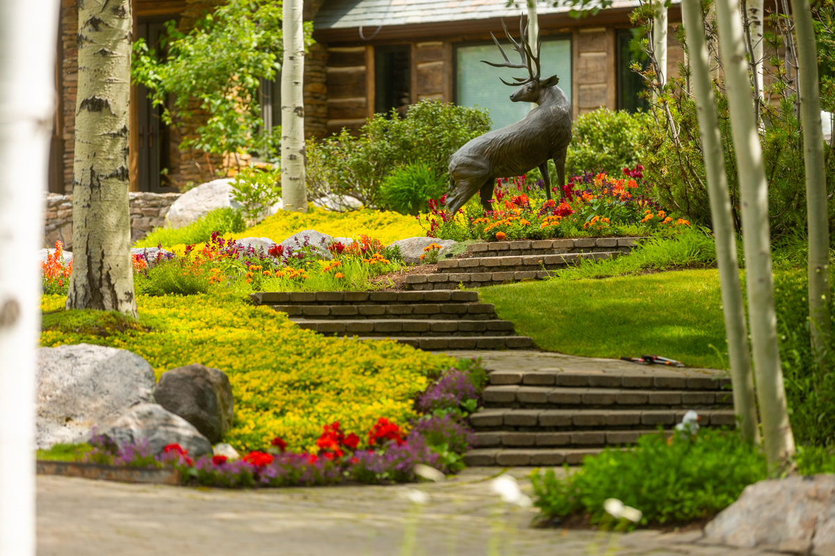 driveway boulders aspen trees planting beds stairs woodland 2