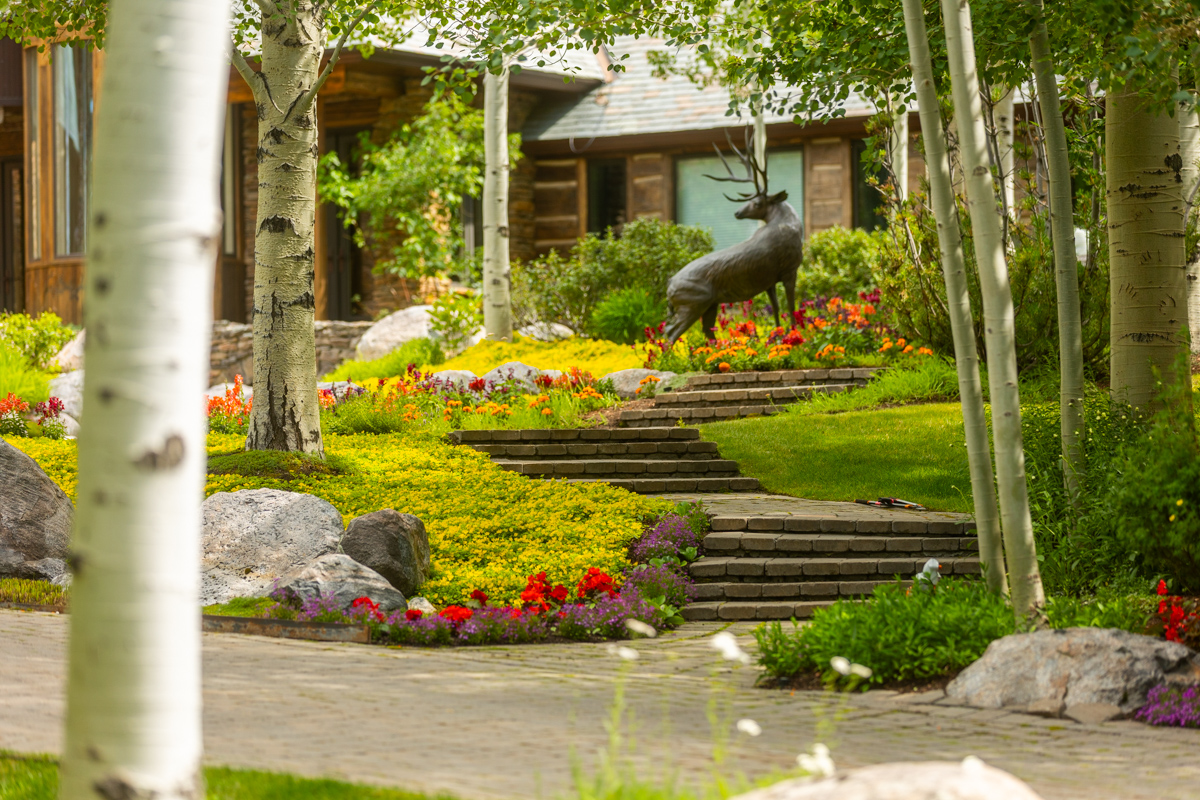 driveway boulders aspen trees planting beds stairs woodland 3