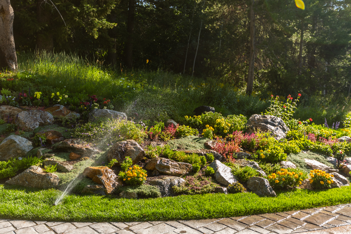 driveway planting bed boulders trees 2