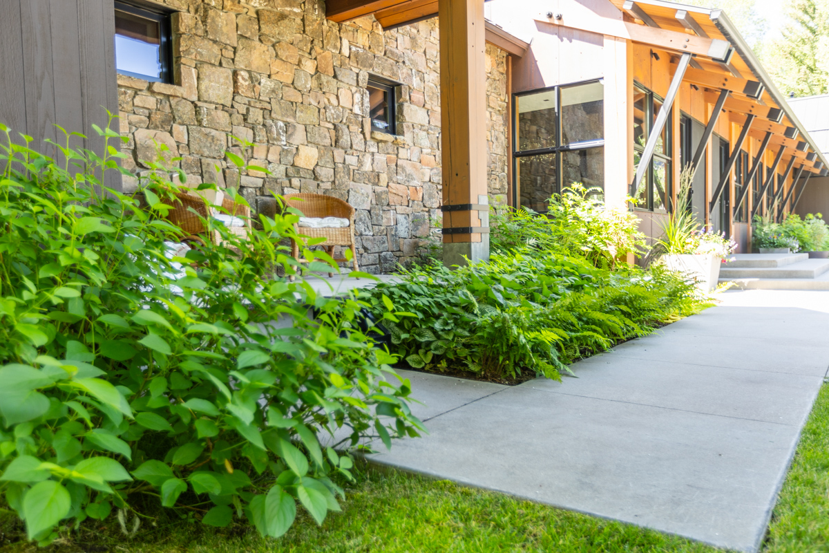 foundation planting beds trees covered fire feature walkway 3