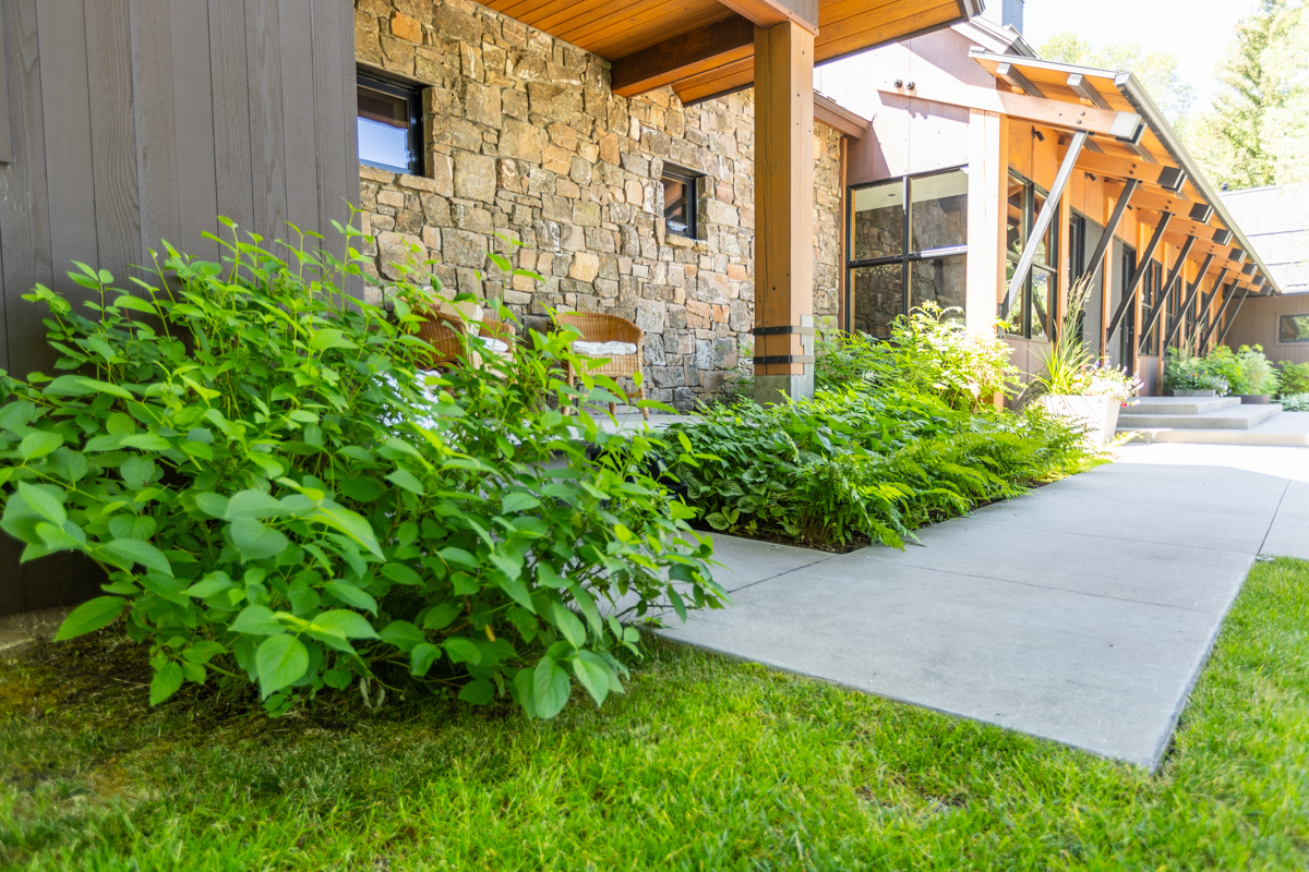 foundation planting beds trees covered fire feature walkway 4