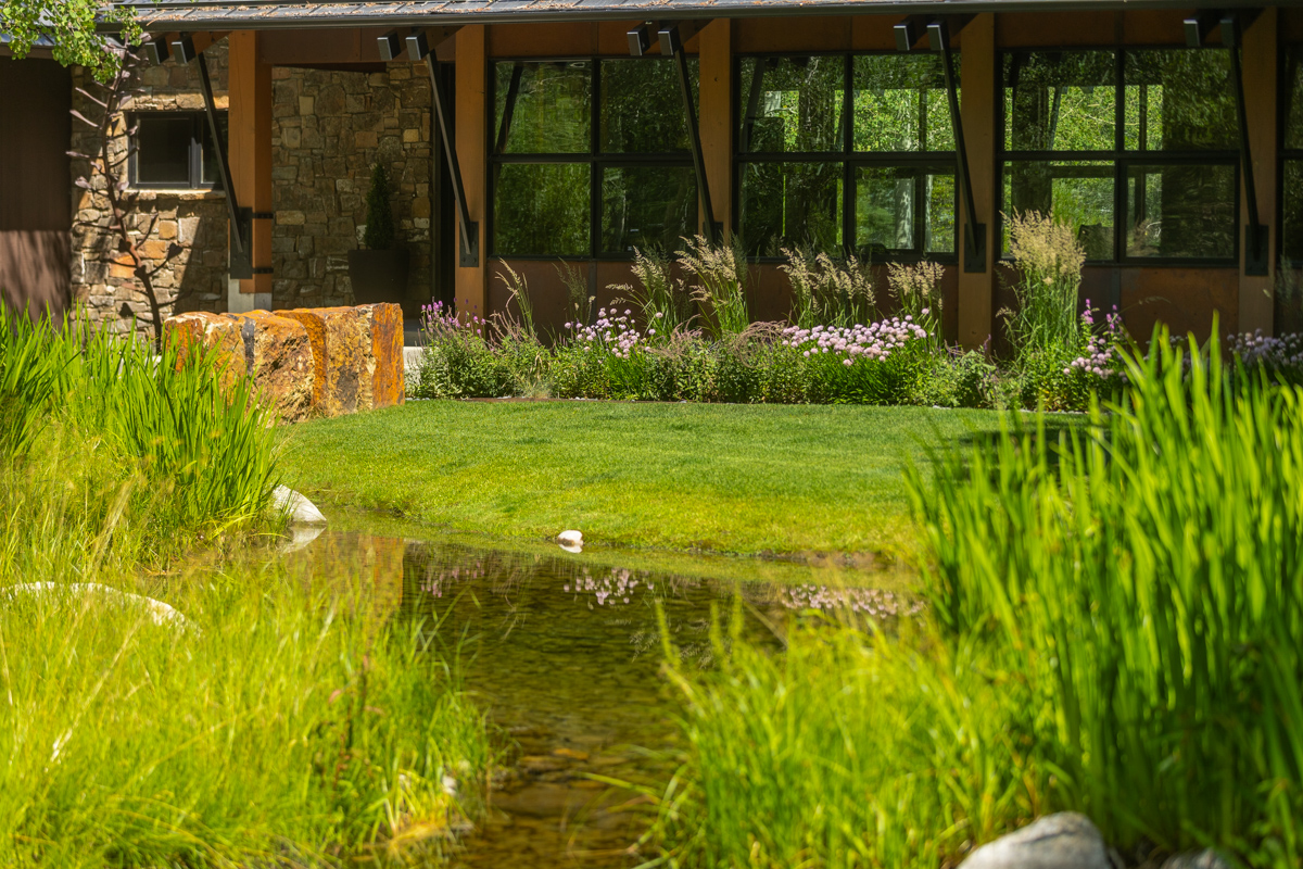 lawn area planting beds courtyard