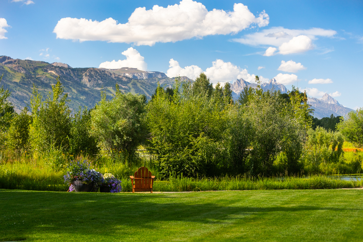 lawn horizon mountains trees nice