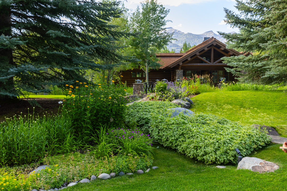 lawn walkway trees groundcover planting beds perennials