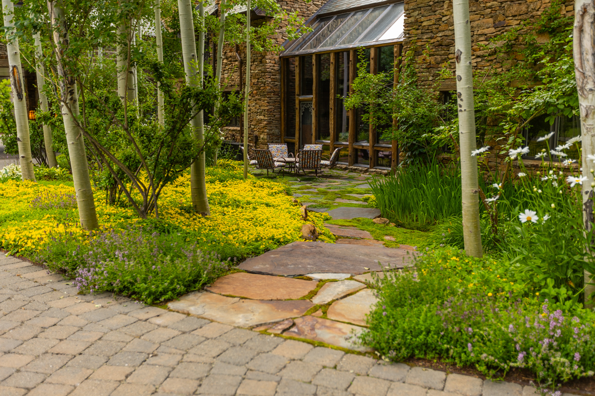 paver driveway stone stepper walkway groundcover trees shade