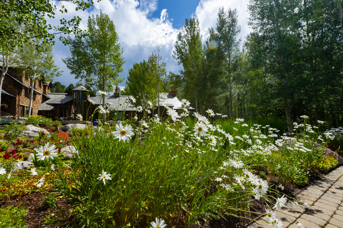 perennials planting beds white flowers paver walkway