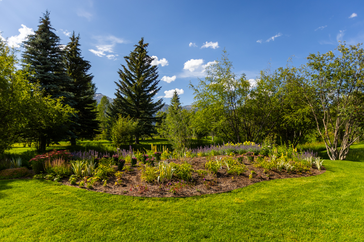 planting bed and lawn