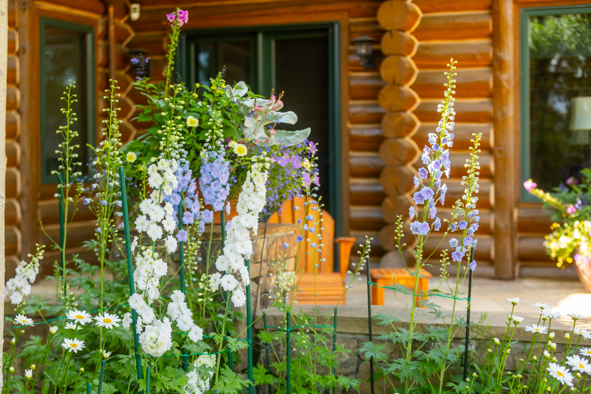 planting beds annuals perennials driveway shade foundation bed 2